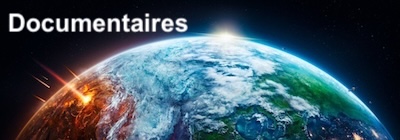 Pearltrees